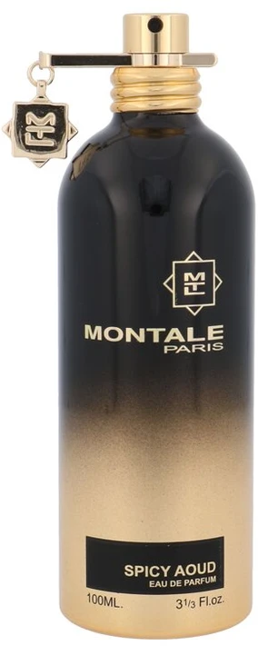 Montale Paris Montale Spicy Aoud EDP parfumuotas vanduo unisex, 100 ml