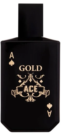 New Brand Parfums Christopher Dark NEW BRAND Intence Gold Ace vanduo toaletinis vyrams 100 ml