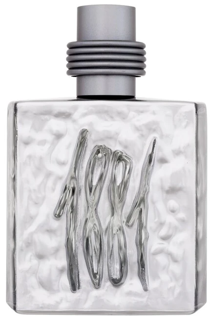 Nino Cerruti Cerruti 1881 Sidabrinis EDT tualetinis vanduo vyrams, 100 ml