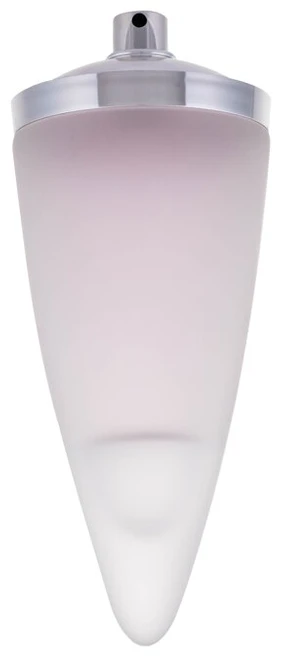 Rochas Vyriškas EDT 100 ml