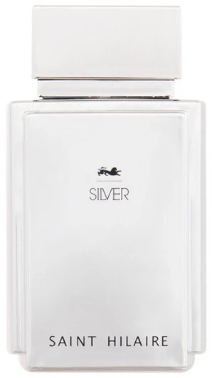 Saint Hilaire Sidabrinis EDP parfumuotas vanduo vyrams, 100 ml