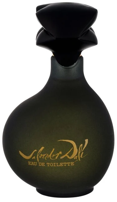 Salvador Dali Pour Homme EDT tualetinis vanduo vyrams, 100 ml