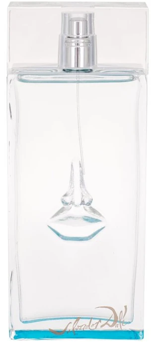 Salvador Dali Salvador Dali Sea Sun In Cadaques Eau De Toilette Purškiklis 100ml