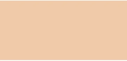 Sensai Total Finish Foundation Refill - Kompaktinės pudros papildymas, spalva: 202 Soft Beige, 11 g