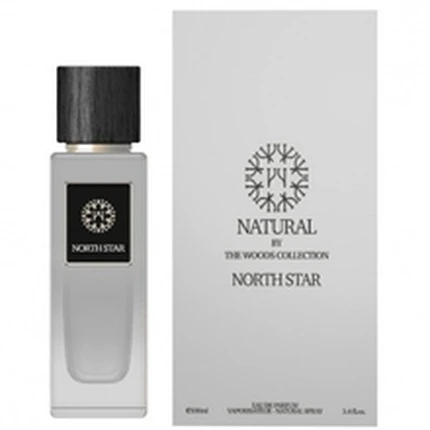 The Woods Collection North Star EDP parfumuotas vanduo vyrams, 100 ml