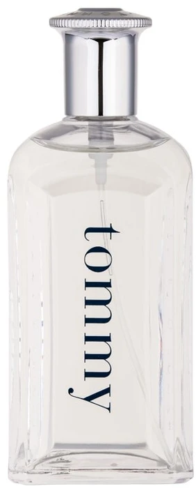 Tualetinis vanduo Tommy Hilfiger Tommy EDT Purškiklis 100ml Vyrams