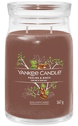 Yankee Candle Aromatinė žvakė Signature glass medium Praline - Beržas 368 g