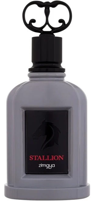 Zimaya Stallion EDP parfumuotas vanduo vyrams, 100 ml