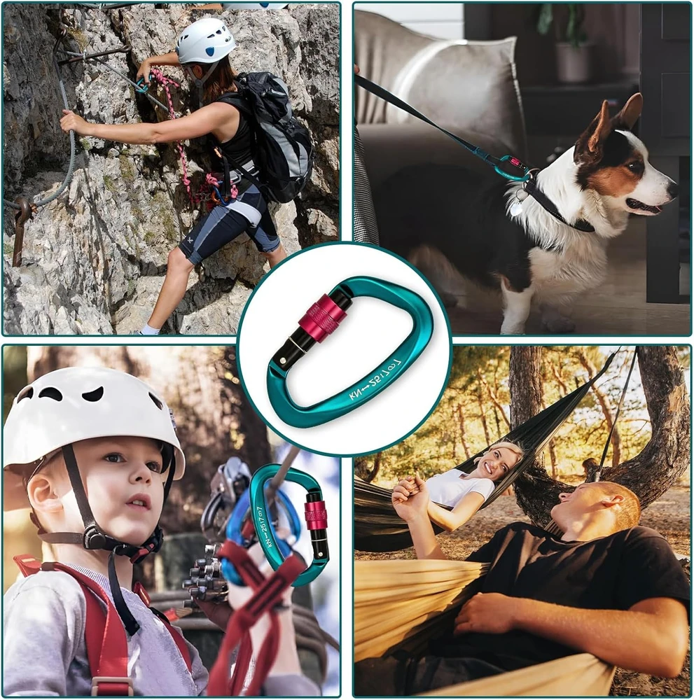 Karabinas, skirtas laipiojimui ir žygiams, 5 vnt., karabino kabliukas, karabino žiedas, karabinas su užraktu