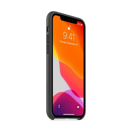Apple iPhone 11 Pro Odinis dėklas - Juodas