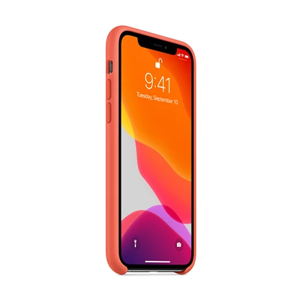 Apple iPhone 11 Pro Silikoninis dėklas - Clementine (Oranžinis)
