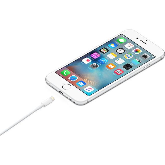 Apple iš Lightning į USB laidas (0.5 m) ME291ZM/A 