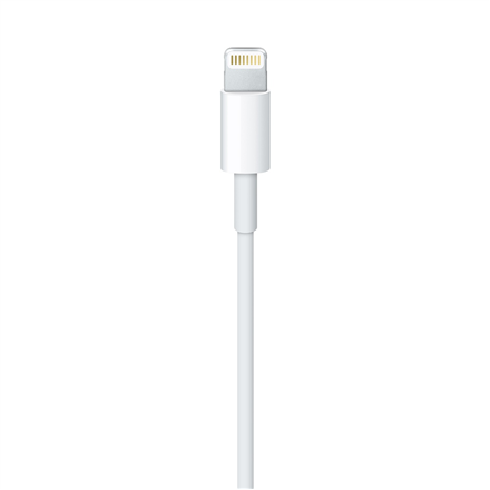 Apple iš Lightning į USB laidas (1m) MD818ZM/A Baltas