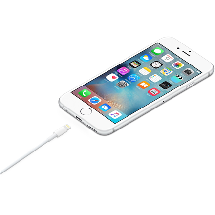 Apple iš Lightning į USB laidas (1m) MD818ZM/A Baltas