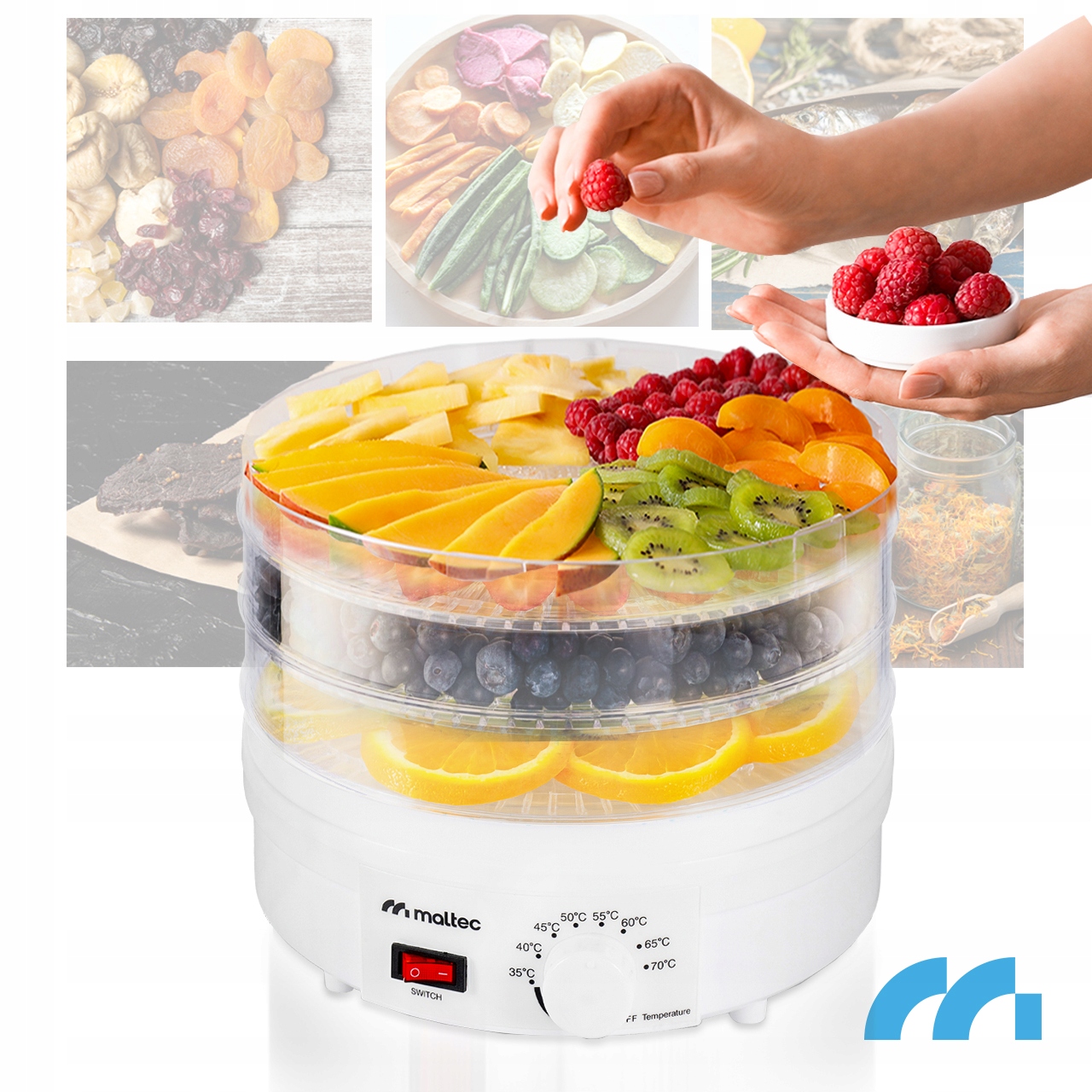 Gruzdintuvė Maltec Džiovintuvas spożywcza DryMaster500W-II aprašymas - Prekės nuotrauka