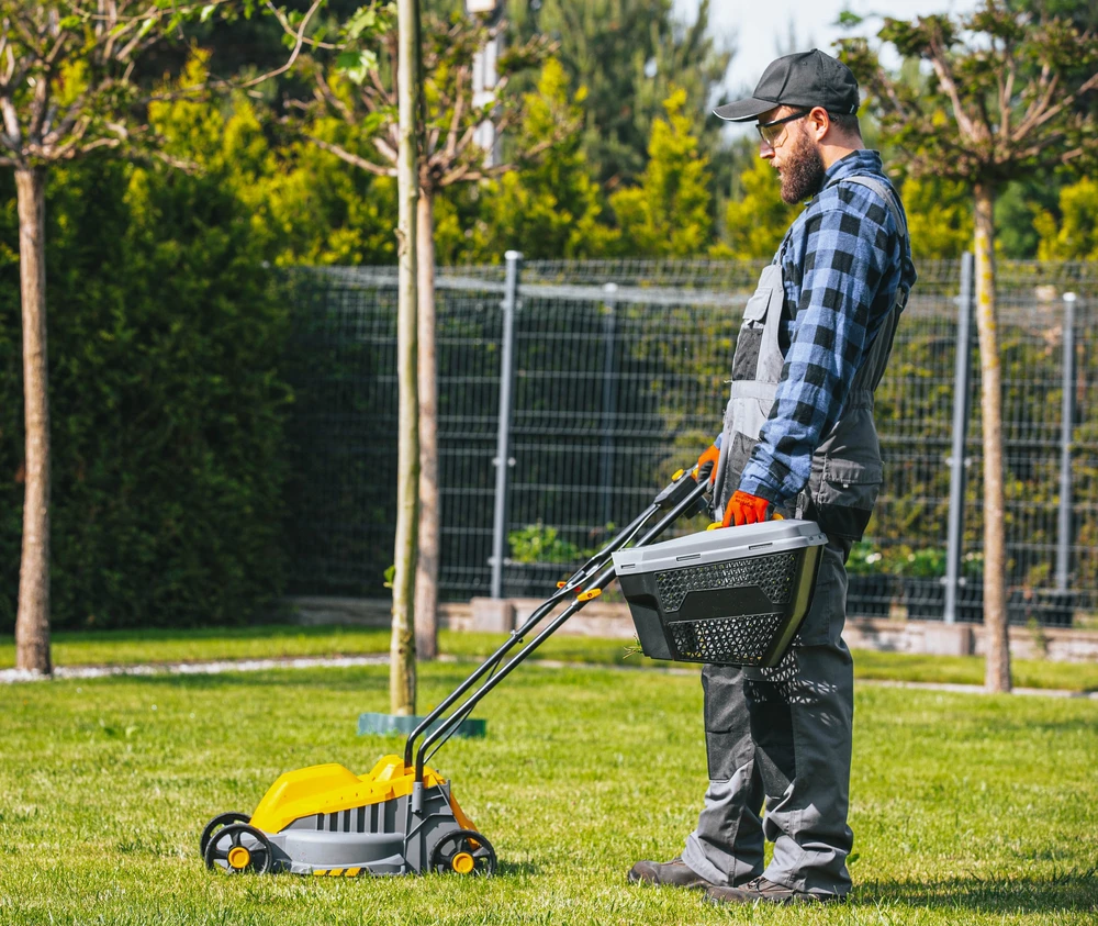 Powermat Elektrinė vejapjovė, 2200W, 32cm pjovimo plotis, lengva, 30L surinkimo dėžė, mažiems sodams