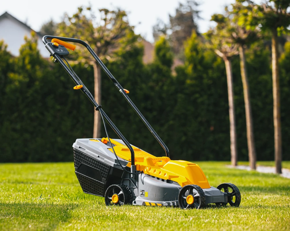 Powermat Elektrinė vejapjovė, 2200W, 32cm pjovimo plotis, lengva, 30L surinkimo dėžė, mažiems sodams