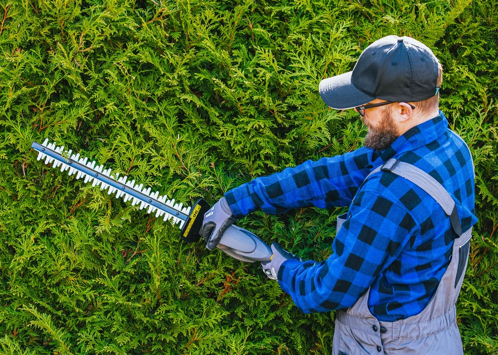 Powermat Gyvatvorių žirklės akumuliatorinės 21V, 41cm