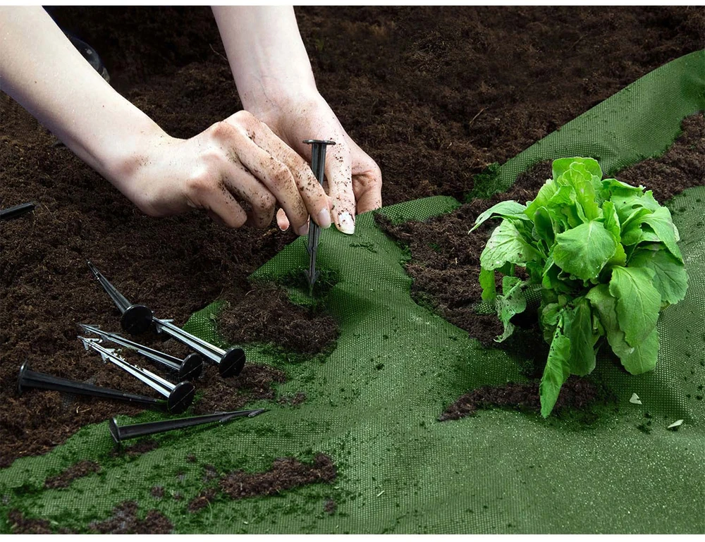 Sodo agrotekstilė 1,6 m x 100 m 90 g/m2 + 100 „Plonos“ smeigtukų - žalia