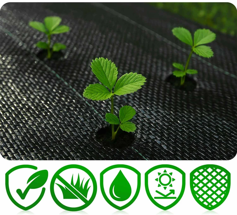 Sodo agrotekstilė 1,6 m x 100 m 90 g/m2 + 100 „Plonos“ smeigtukų - juoda