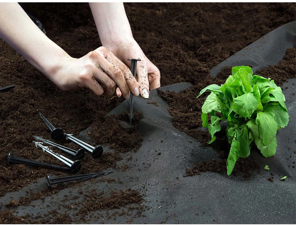 Sodo agrotekstilė 1,6 m x 50 m 70 g/m2 + 100 „Plonos“ smeigtukų - juoda