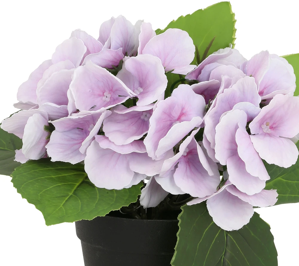 Home4You Dirbtinė gėlė GARDEN H18cm, violetinė hortenzija su vazonu