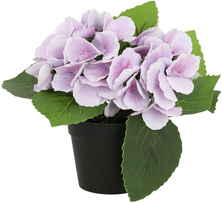 Home4You Dirbtinė gėlė GARDEN H18cm, violetinė hortenzija su vazonu