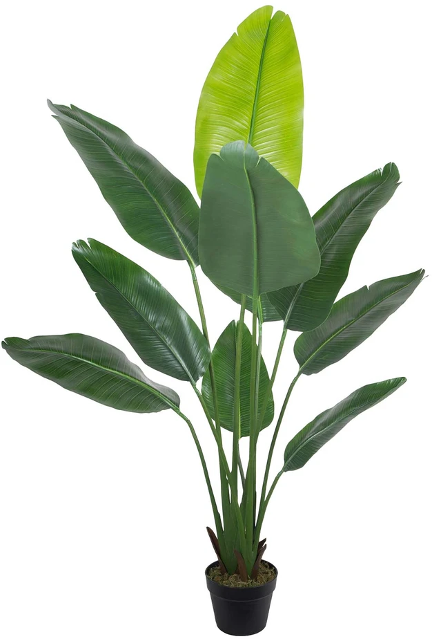 Home4You Dirbtinis augalas WIND BIRD OF PARADISE H150cm