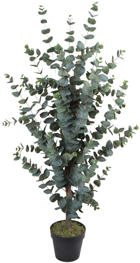 Dirbtinis medis WIND EUCALYPTUS H120cm