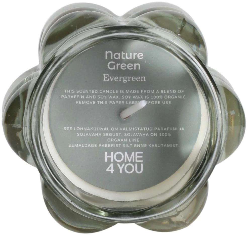 Home4You Kvapnioji žvakė stiklinėje dėžutėje NATURE Žalias H9,2cm, Evergreen