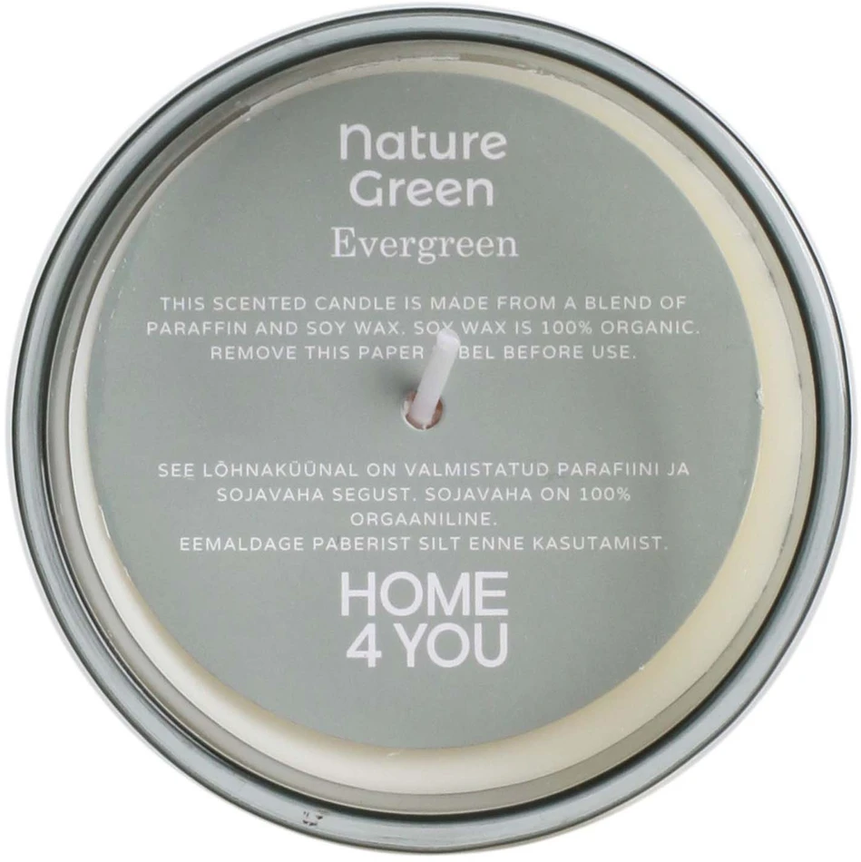 Home4You Žvakė NATURE Žalias H9.5cm, Evergreen