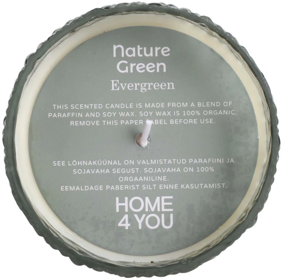 Kvapnioji žvakė stiklinėje dėžutėje NATURE Žalias H9cm, Evergreen
