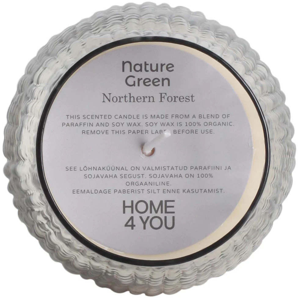 Home4You Kvapnioji žvakė stiklinėje NATURE Žalias H10,8cm, Northern Forest