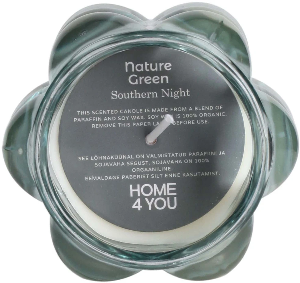 Home4You Kvapnioji žvakė stiklinėje NATURE Žalias H9,2cm, "Southern Night