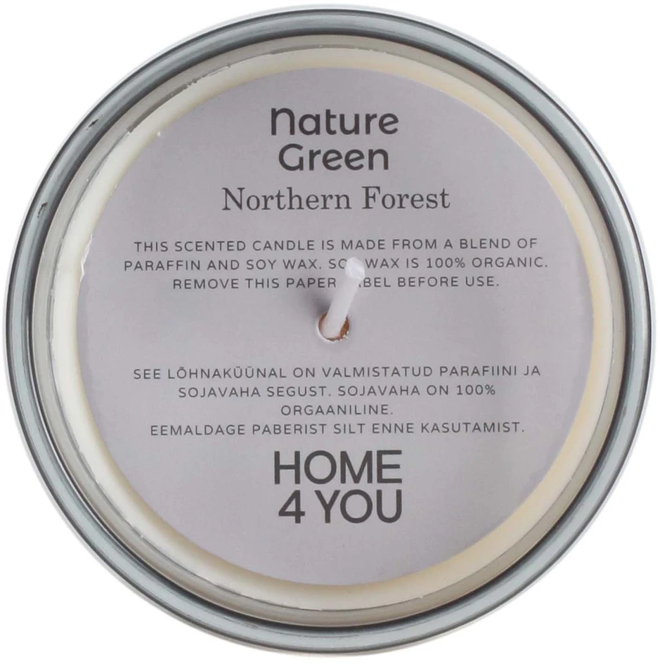 Home4You Kvapnioji žvakė stiklinėje NATURE Žalias H9,5cm, Northern Forest
