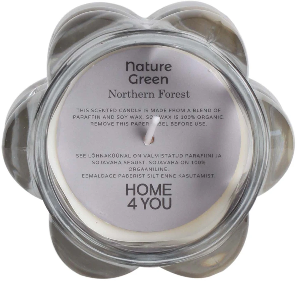 Home4You Kvapnioji žvakė stiklinėje NATURE Žalias H9,2cm, Northern Forest