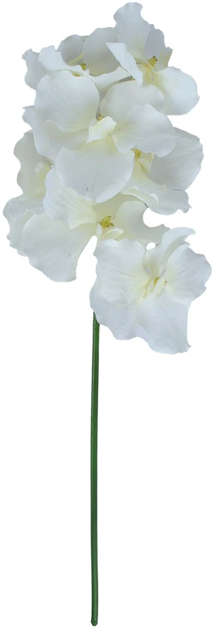 Home4You Orchidėja ŽIEDAS H60cm, mišinys
