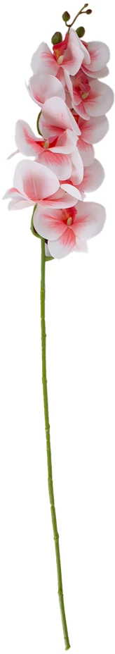 Home4You Orchidėja GĖLĖ H94cm, šviesiai rožinė