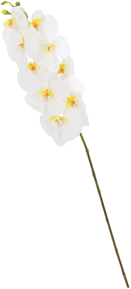 Orchidėja SODYBAI H92cm, baltas falenopsis
