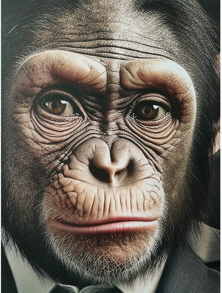 Sienų meno kūriniai WALLY 50x70cm, Ponas Beždžionė