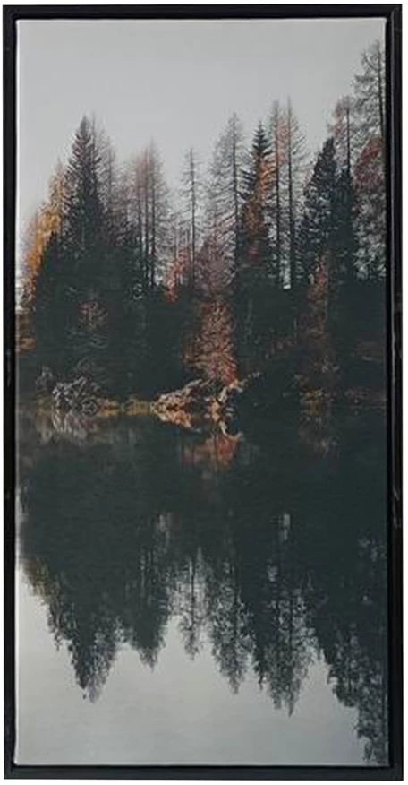 Sienų meno kūrinys WALLY 30x60cm, miškas C
