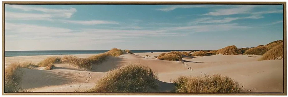 Sienų meno kūrinys WALLY 30x90cm, smėlio kopos