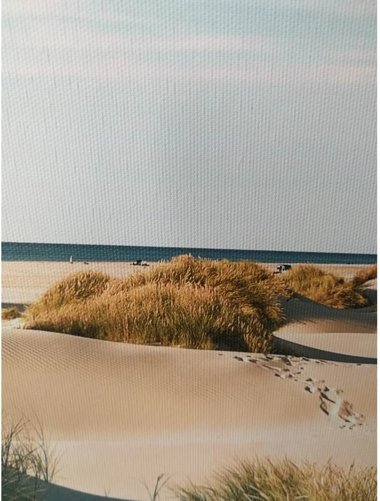 Sienų meno kūrinys WALLY 30x90cm, smėlio kopos