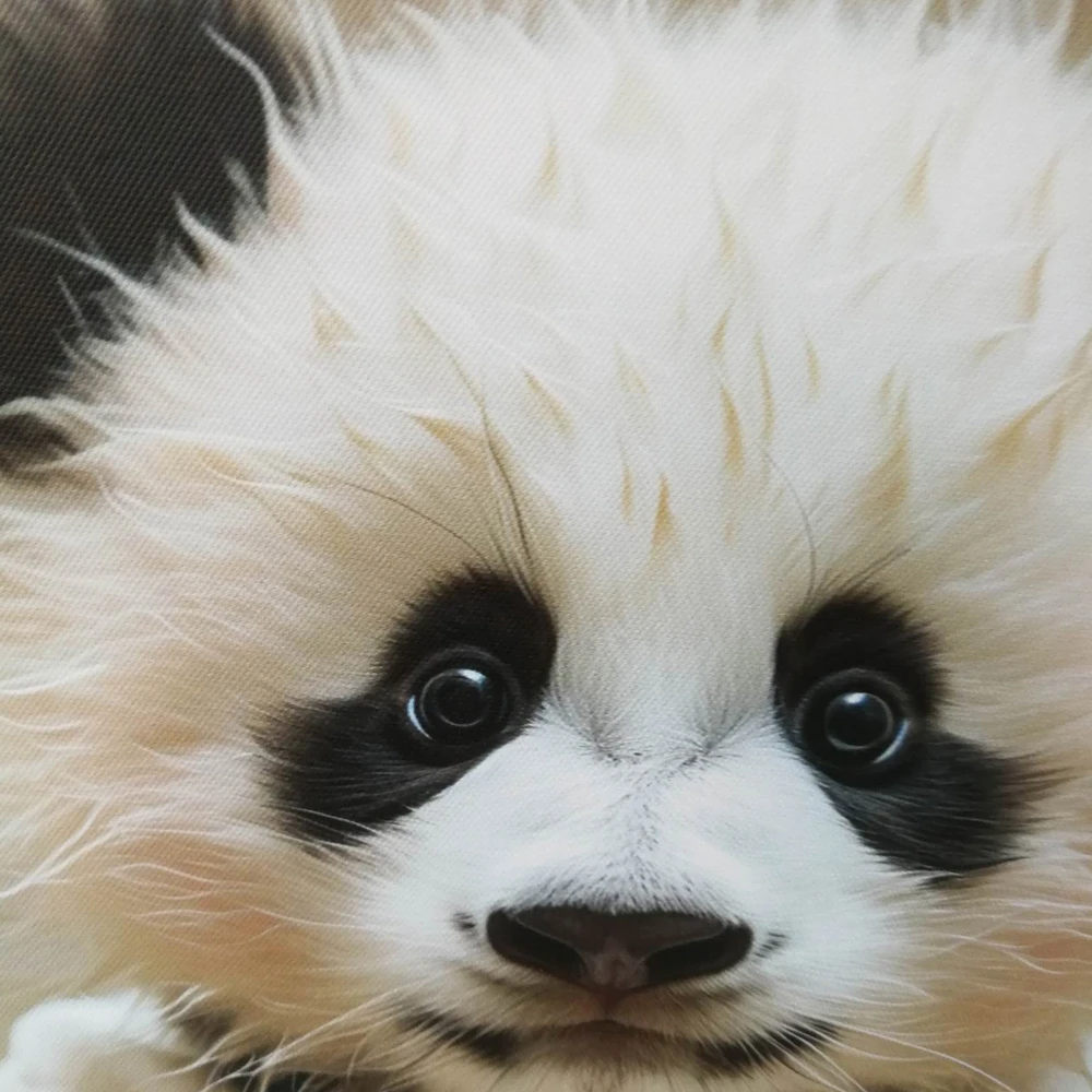 Sienų meno kūrinys WALLY 40x50cm, mažoji panda