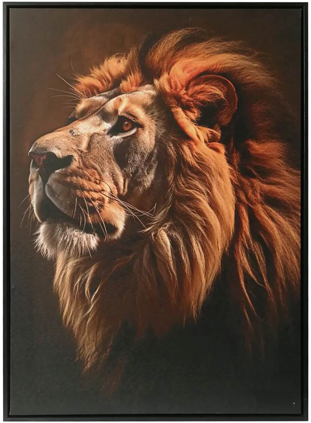 Sienų meno kūrinys WALLY 50x70cm, liūtas