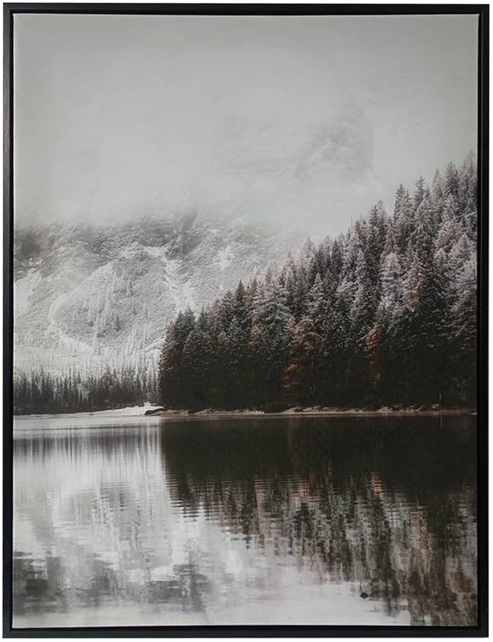 Sienų meno kūrinys WALLY 60x80cm, snieguotas peizažas