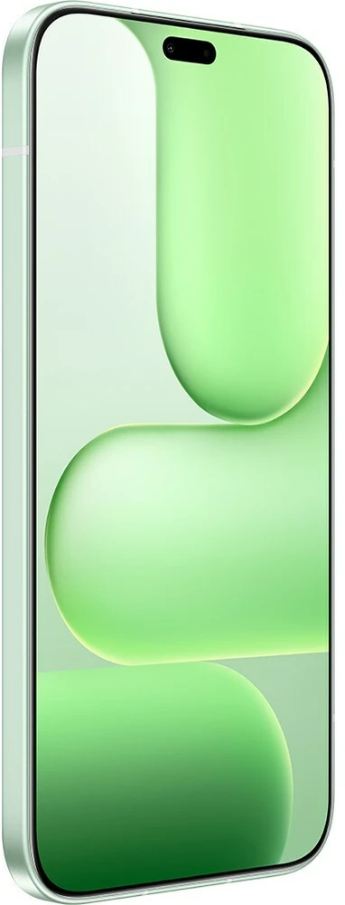 Išmanusis telefonas HONOR 600 LITE 8+256GB DS 5G Sprout Žalias OEM