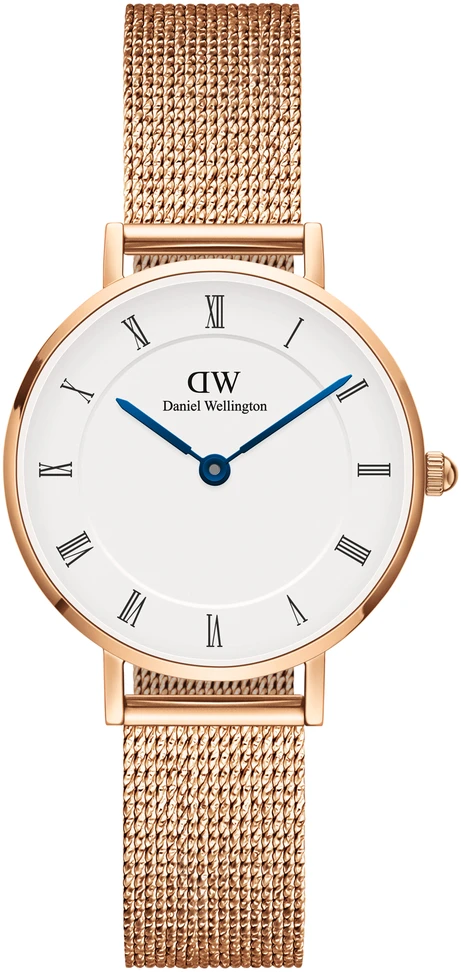 Moteriškas laikrodis DANIEL WELLINGTON DW00100681. Kvarcinis, spalvotas FLOCK.