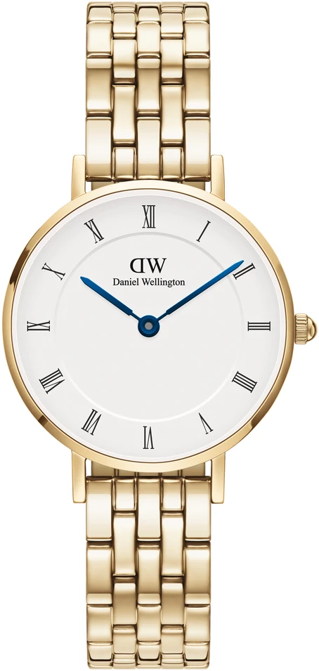 Moteriškas laikrodis DANIEL WELLINGTON DW00100682. Kvarcinis, spalvotas FLOCK.