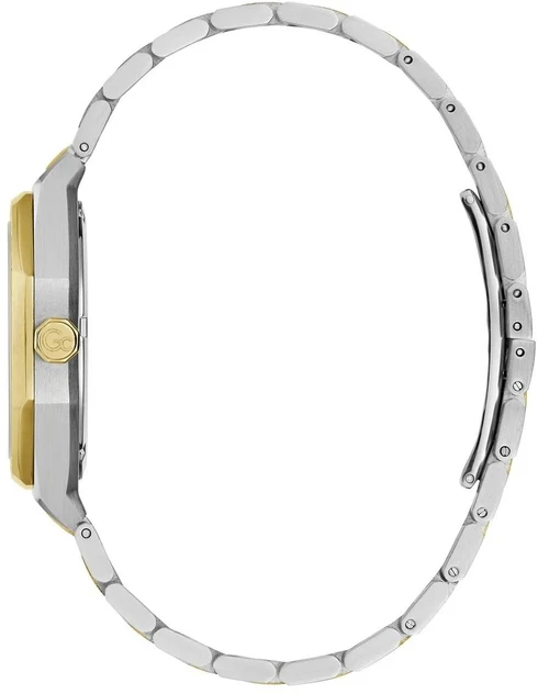 Laikrodis Watches GC LADIES Z25002L1MF